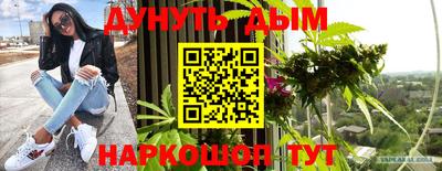 дмт Новодвинск
