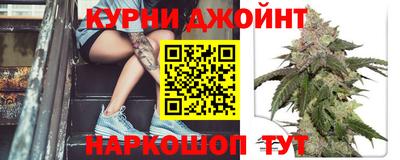 jwh Новозыбков