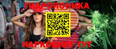 дмт Новодвинск