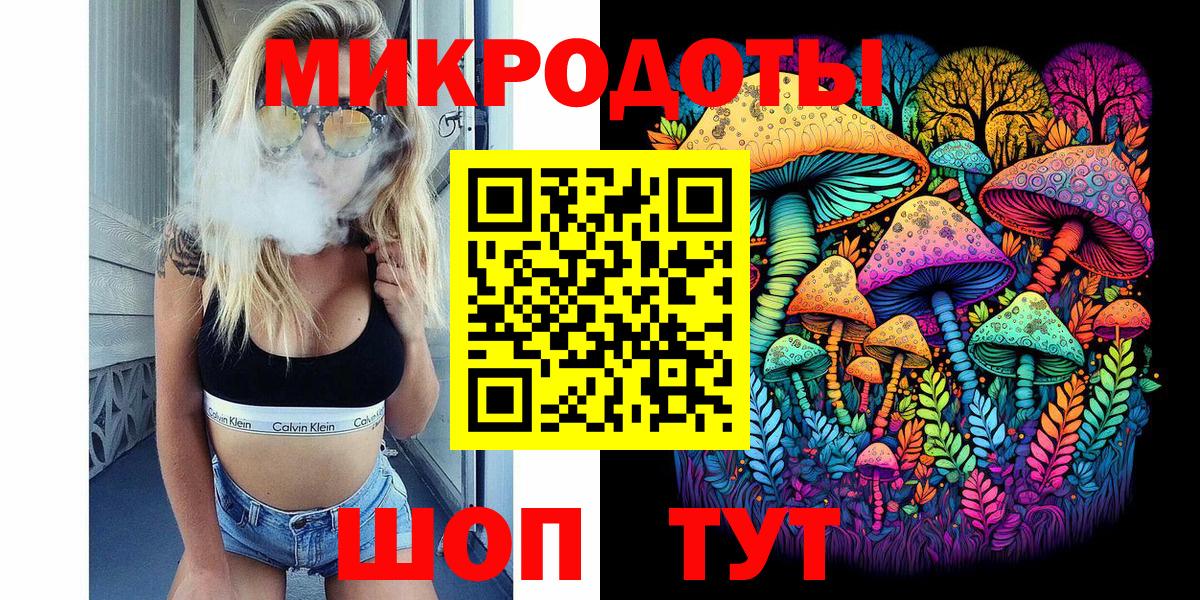 Галлюциногенные грибы Psilocybine cubensis Владимир