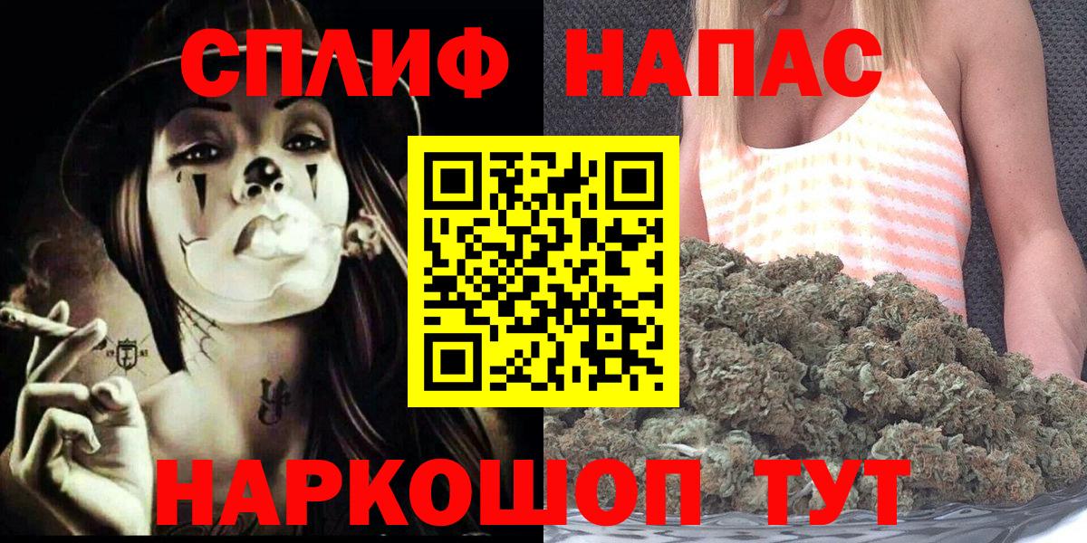 Канабис OG Kush  Марихуана план  Канабис сатива  Владимир  Вход с VPN 
